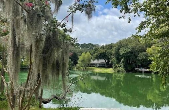 Remodeled Island Home between Savannah & Tybee