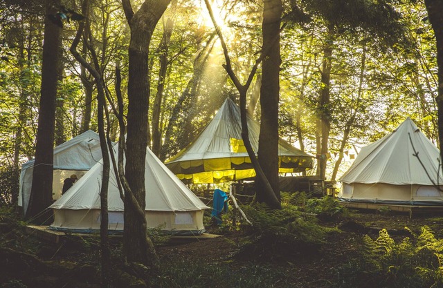 Remote Glamping for Groups | 15 mins from Newquay