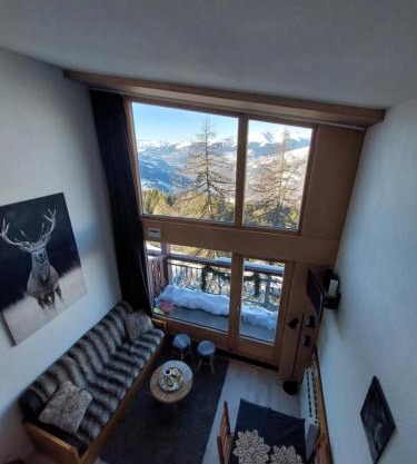 RESIDENCE LE RUITOR Duplex dernier étage vue panoramique classé 4 Cristaux Paradiski