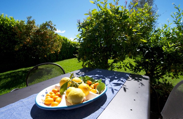 Residence Limoni del Rustichel: Apartment N.6 with lake view, underground parking and pool.
