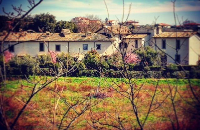 Residenza Vecchia Mola Chigi