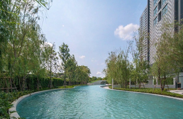 Resort style condo, high floor studio, pool view