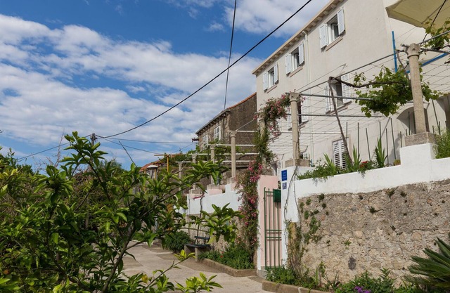 Villa Dalmatia Garden 