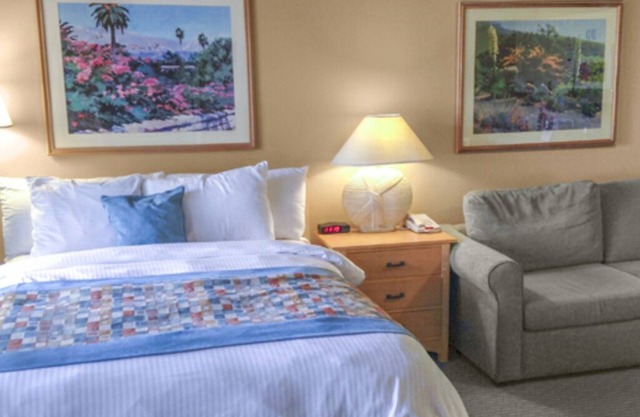 Romantic getaway Palm Canyon Resort studio unit for 2. Private; near the action.