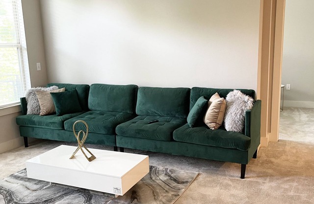 ROOFTOP VIEWS! Relax in our stylish and bring apartment in Atlanta