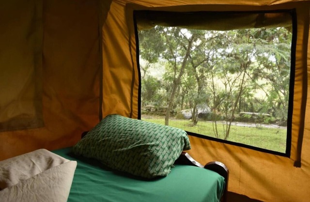 Room in B&B - Red Rocks Rwanda - Safari Tent Twin