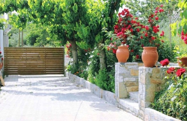 Rose Hedge