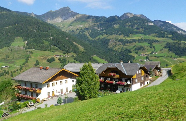 Rosensteingut