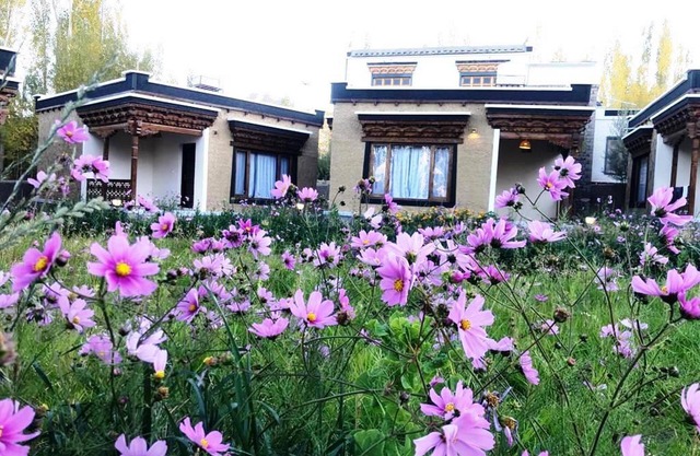 Royal Soma Resort