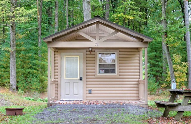 Rustic Cabin 29 w/4 Beds