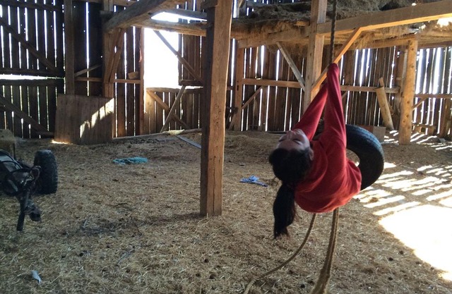 Rustic-Chic Foxglove Farm just 1hr from Toronto