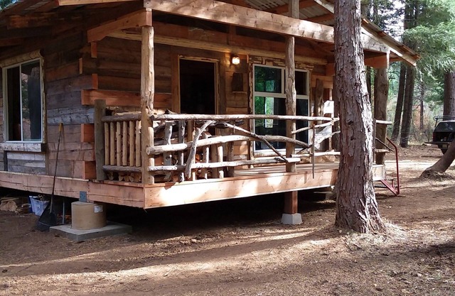Rustic mountain retreat - escape to a hand-built cabin in the woods