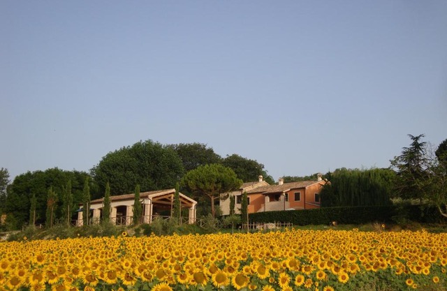 Rustico del Conero