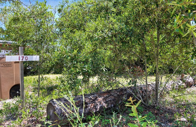 RV Lot, Indian Pass, Close To The Beach ~ Maxtoria
