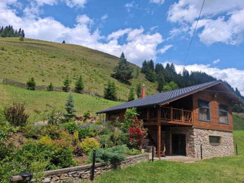 Ryan's Cabin