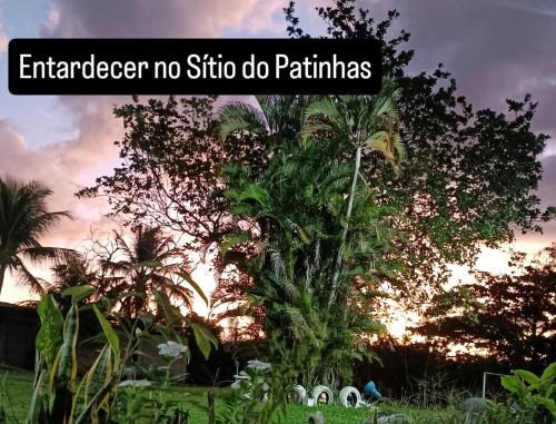 Sítio do patinhas