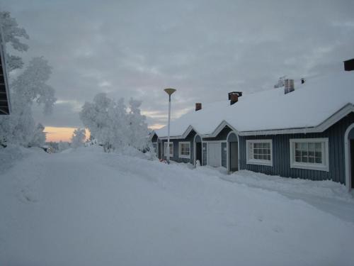 Saariselän Marjamajat