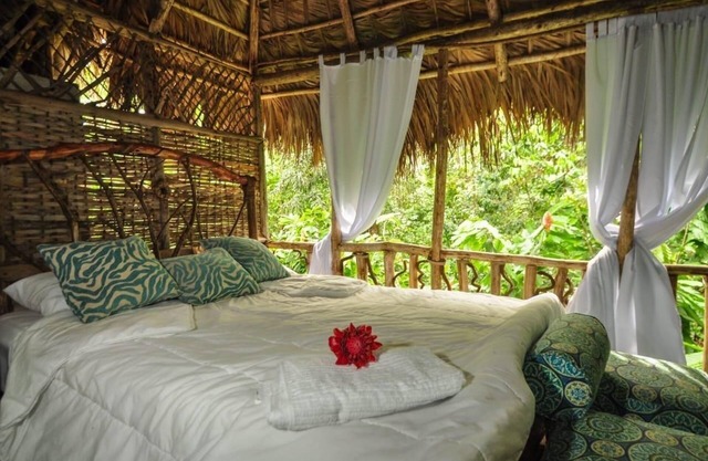 Samana Tropical with DodoMap