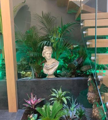San Fernando 24