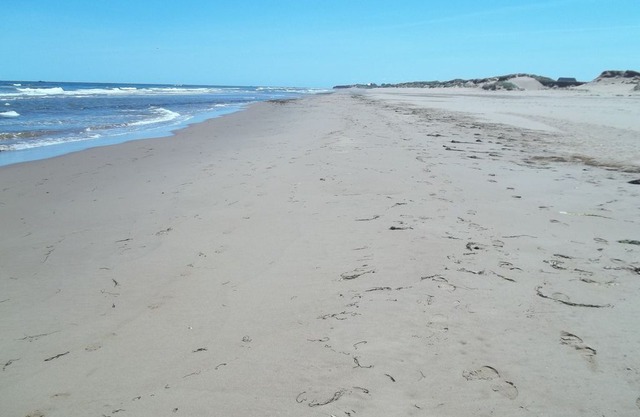 Sandcastles Beach House -Meadowside: Stunning View on PEI's Best Beach