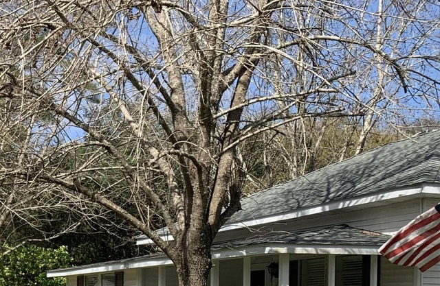 Sandy Hook - A Charming Cottage in Dauphin Island Village