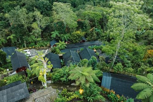 Sang Giri Mountain Tent Resort