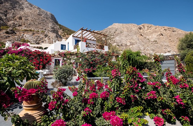Santorini Mystique Garden
