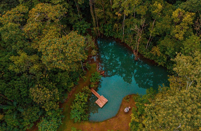Santuario De Ranas, Valle Azul