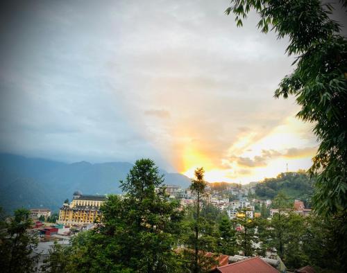 Sapa Succulent Garden Homestay - Vườn Sen Đá Homestay