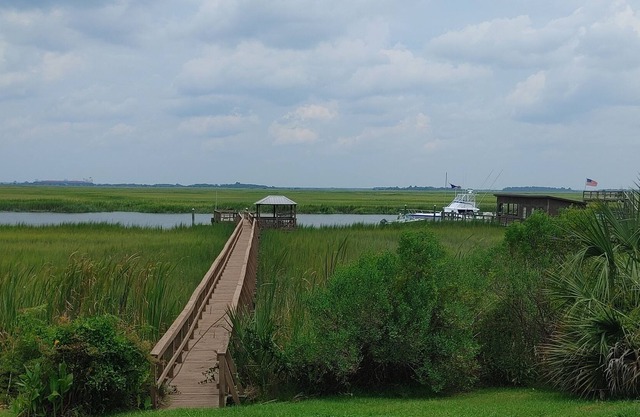 SAVANNAH GA ISLAND COASTAL COTTAGE PRIVATE DOCK FISHING GROUPS, SIGHTSEERS