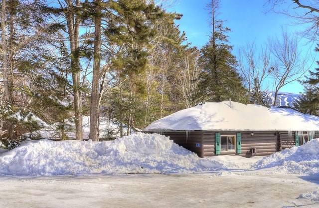 SBLL 04 - Conifer - Adorable studio cabin at Saddleback Lake