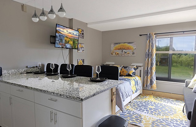 SC 2204 Completely Renovated Studio, Bright Winter Escape!