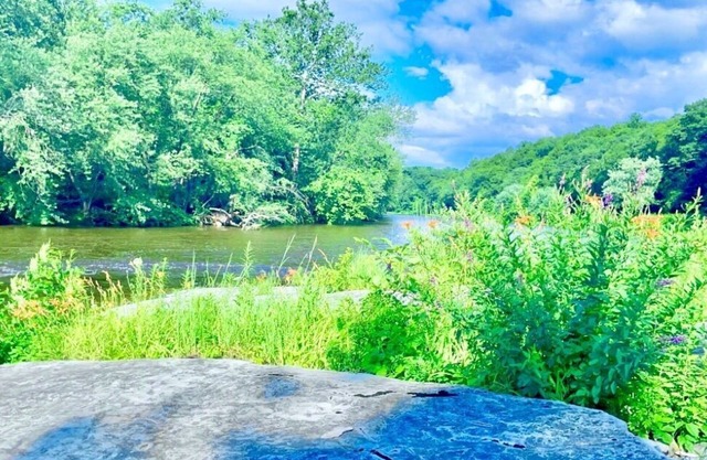 ★Scenic Views & River Access, Cozy River Home ★