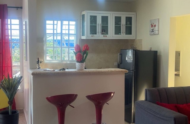 SDQ Apartment Marbella 4