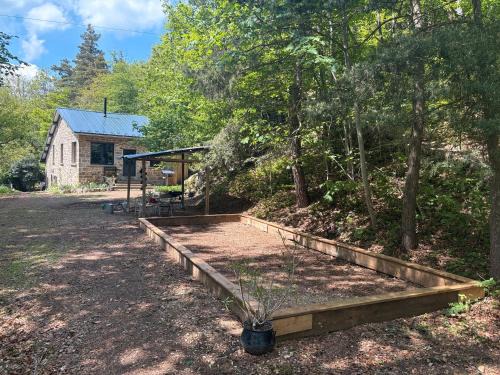 Se Ressourcer En Forêt