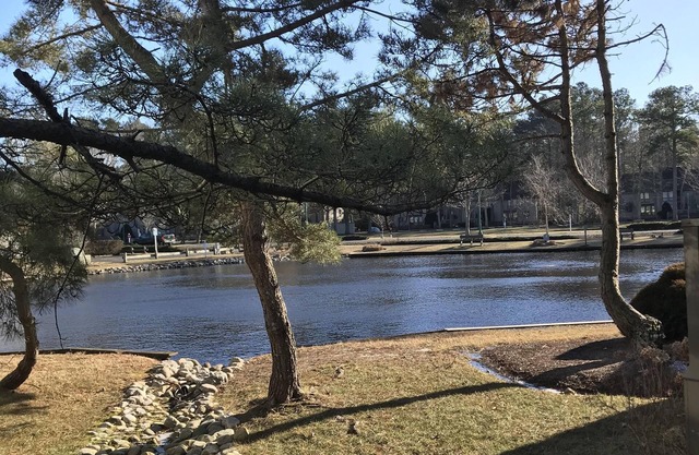 Sea Colony, Lakefront, 2 BR + Loft, walk to beach, shops & restaurant