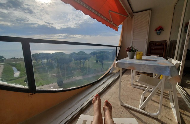 seafront Vincent air-conditioned apartment Grau du Roi