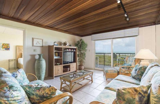 Seagull 202 by Padre Island Rentals
