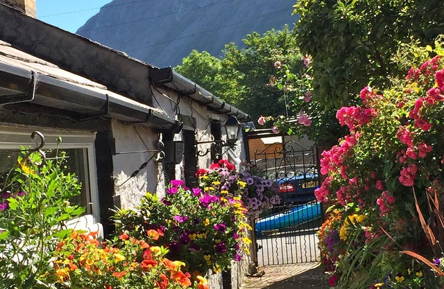 Seaside Cottage, Dogs Welcome - good walks, by beach & Snowdonia National Park