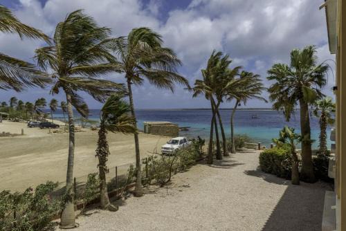 Seaview Wahoo at Den Laman