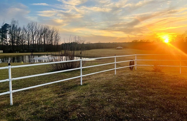 Secluded 80 acre farmhouse ,newly renovated, with private pool, and so much more