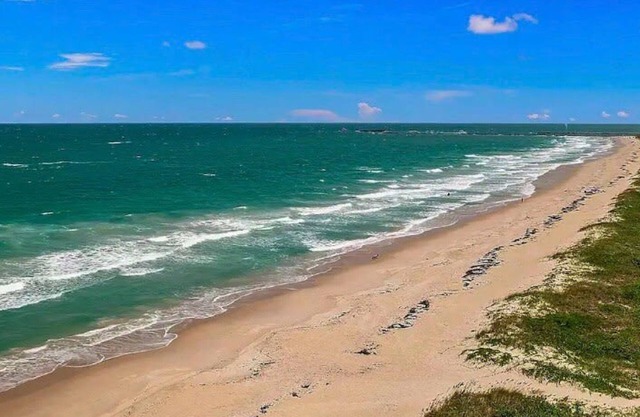 Secluded Beachfront Vibes Surf Pet Friendly