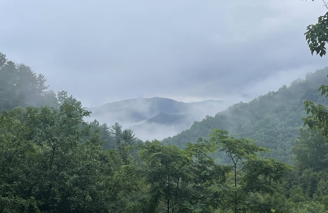 Secluded cabin with views/creek/wifi near GSMNP
