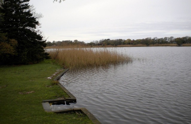 Secluded Lakefront Cottage Near Town Beaches and North Fork Wineries