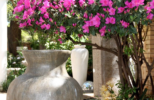 Selati Guesthouse