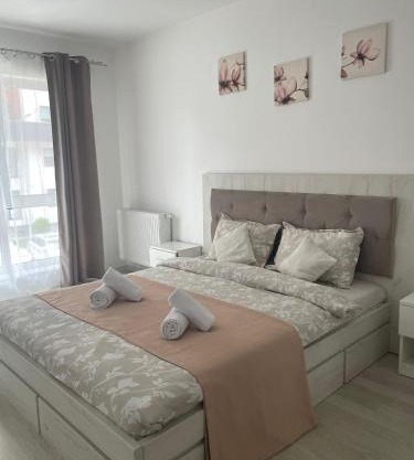 Selina Apart Transilvania Brasov
