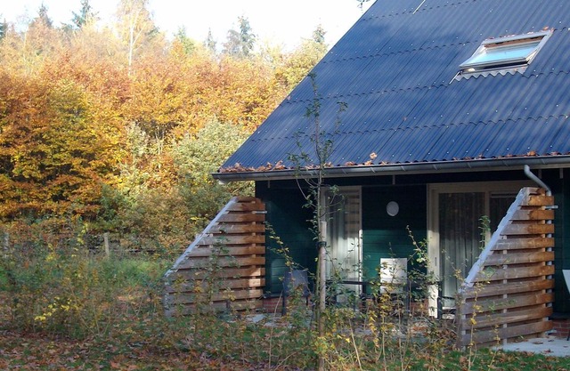 Semi-detached house with a dishwasher, at 9 km van Slagharen