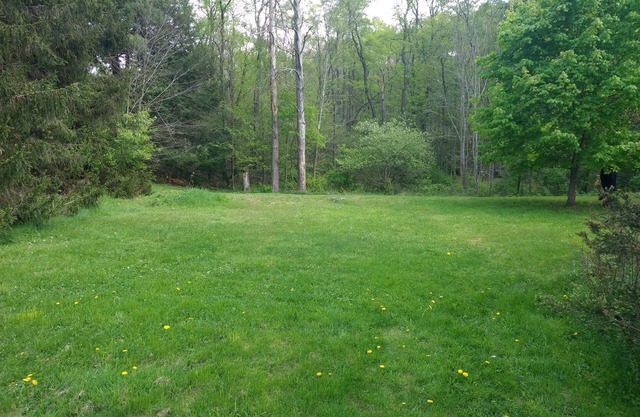 Serene Creek Frontage