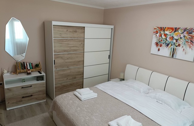 Serenity apartment in Băile Herculane