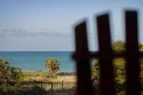 Serenity Shores